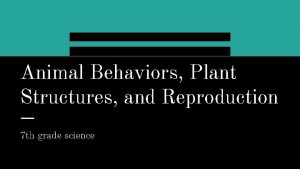 Animal Behaviors Plant Structures Reproduction Animal Behaviors Plant