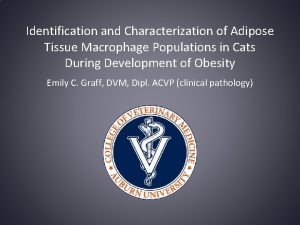 Identification and Characterization of Adipose Tissue Macrophage Populations