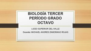 BIOLOGA TERCER PERODO GRADO OCTAVO LICEO SUPERIOR DEL