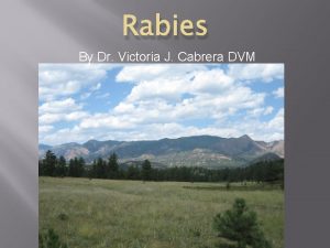 Rabies By Dr Victoria J Cabrera DVM Rabies
