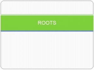 ROOTS Types of Roots 1 Taproot when there