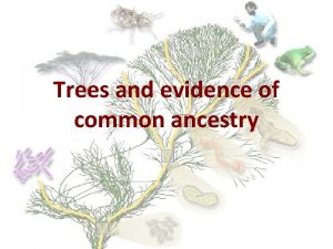 Trees and evidence of common ancestry The elements