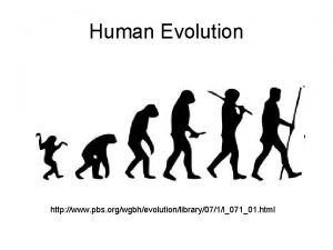 Human Evolution http www pbs orgwgbhevolutionlibrary071l07101 html Topics