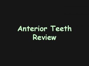 Anterior Teeth Review Maxillary vs Mandibular Incisors Maxillary