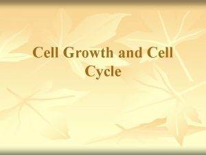 Cell Growth and Cell Cycle Cell Cycle n