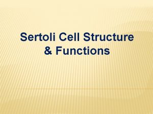 Sertoli Cell Structure Functions Sertoli Cell Named after