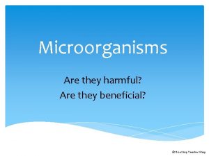 Microorganisms Are they harmful Are they beneficial One