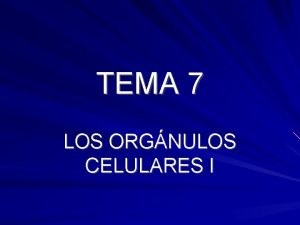 TEMA 7 LOS ORGNULOS CELULARES I EL CITOSOL