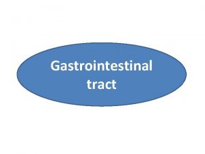 Gastrointestinal tract Slow waves Basic Electrical Rhythm Tonic