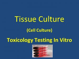 Tissue Culture Cell Culture Toxicology Testing In Vitro