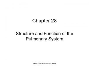 Chapter 28 Structure and Function of the Pulmonary