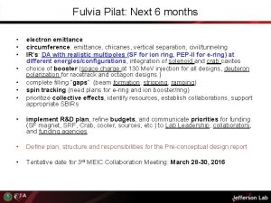 Fulvia Pilat Next 6 months electron emittance circumference