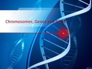 Chromosomes Genes and Alleles How do we get