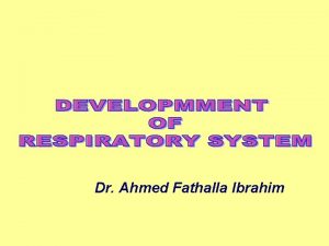 Dr Ahmed Fathalla Ibrahim LOWER RESPIRATORY ORGANS LARYNX