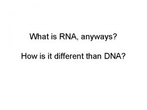 What is RNA anyways How is it different