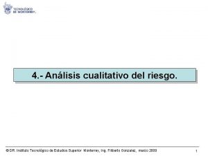 4 Anlisis cualitativo del riesgo DR Instituto Tecnolgico