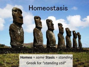 Homeostasis Homeo same Stasis standing Greek for standing