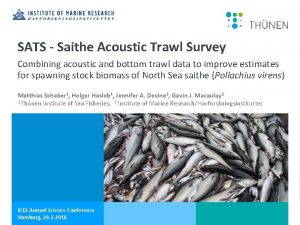 SATS Saithe Acoustic Trawl Survey Combining acoustic and
