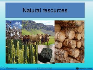 Natural resources 1 of 19 GeoY 04U 2SSNatural