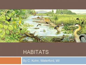 HABITATS By C Kohn Waterford WI Habitat Definitions