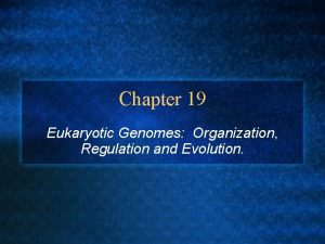 Chapter 19 Eukaryotic Genomes Organization Regulation and Evolution