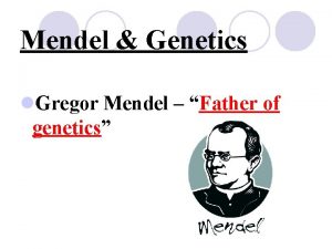 Mendel Genetics l Gregor Mendel Father of genetics