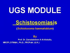 UGS MODULE Schistosomiasis Schistosoma haematobium By Prof Dr