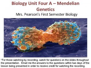 Biology Unit Four A Mendelian Genetics Mrs Pearsons