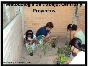 Metodologa de trabajo Centros y Proyectos Barranquilla NOVIEMBRE