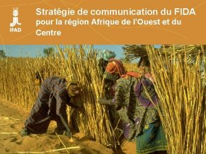 Stratgie de communication du FIDA pour la rgion