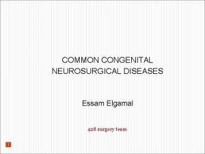 COMMON CONGENITAL NEUROSURGICAL DISEASES Essam Elgamal 428 surgery