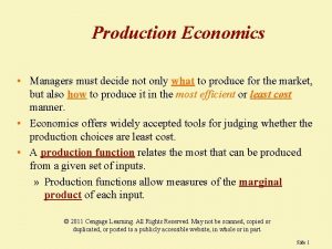 Production Economics Managers must decide not only what