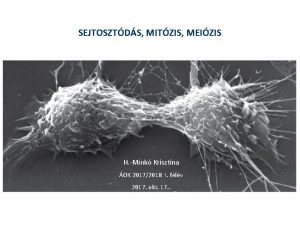 SEJTOSZTDS MITZIS MEIZIS Ktfle sejtosztds mitosis s meiosis