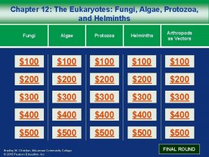 Chapter 12 The Eukaryotes Fungi Algae Protozoa and