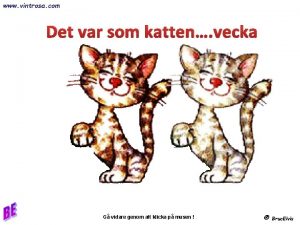 www vintrosa com Det var som katten vecka