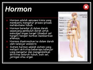 Hormon n n Hormon adalah senyawa kimia yang