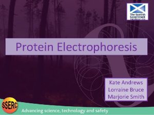 Protein Electrophoresis Kate Andrews Lorraine Bruce Marjorie Smith