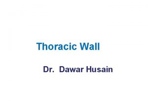 Thoracic Wall Dr Dawar Husain Skeleton of the