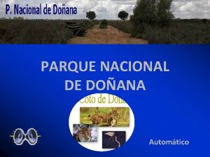 PARQUE NACIONAL DE DOANA Automtico Coto Doana Patrimonio