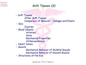 Soft Tissues 2 Soft Tissues Other Soft Tissues