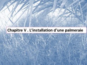 Chapitre V Linstallation dune palmeraie V 1 tudes