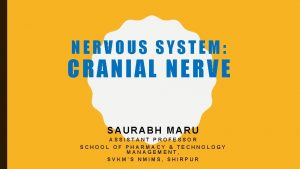 NERVOUS SYSTEM CRANIAL NERVE SAURABH MARU ASSISTANT PROFESSOR