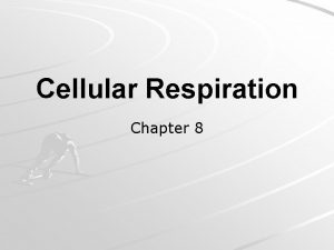 Cellular Respiration Chapter 8 Cellular Respiration cellular process