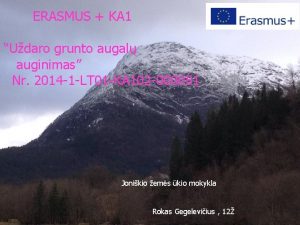 ERASMUS KA 1 Udaro grunto ERASMUS augal Udaro