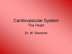 Cardiovascular System The Heart Dr M Diamond Cardiovascular