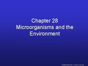 Chapter 28 Microorganisms and the Environment 2004 Wadsworth