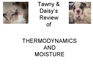 Tawny Daisys Review of THERMODYNAMICS AND MOISTURE IDEAL