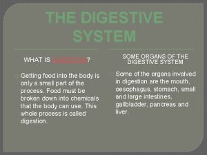 THE DIGESTIVE SYSTEM SOME ORGANS OF THE DIGESTIVE