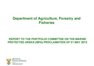 Department of Agriculture Forestry and Fisheries REPORT TO