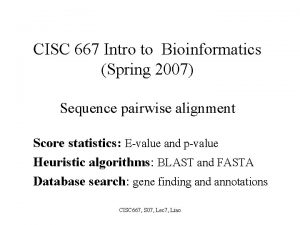 CISC 667 Intro to Bioinformatics Spring 2007 Sequence